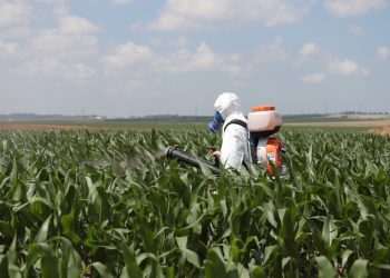 STF vai realizar audiência pública antes de julgar benefícios fiscais para agrotóxicos