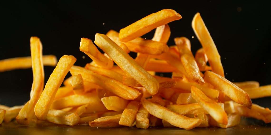 Com energia solar e reaproveitamento total, Farm Frites mira um futuro sem desperdício