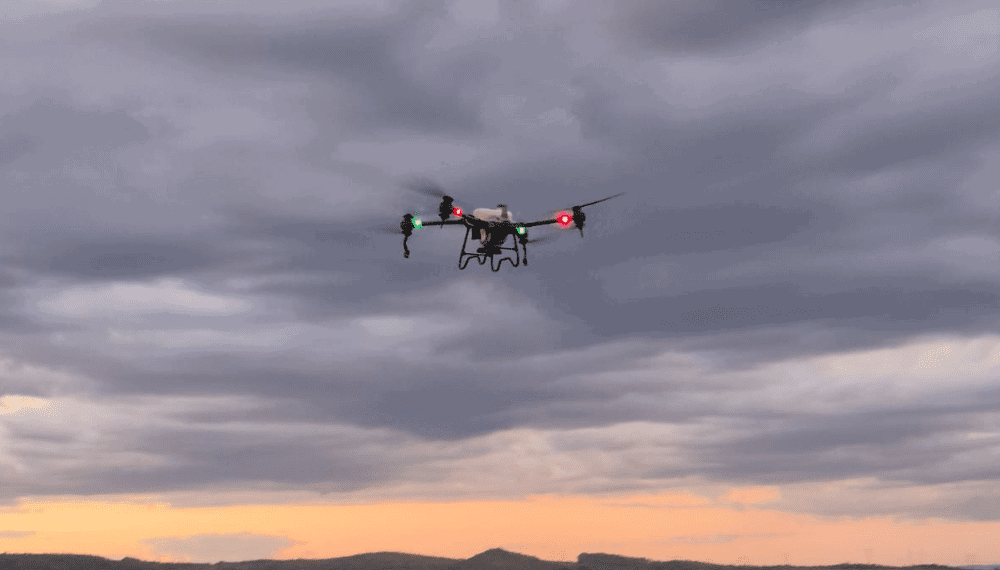 Fugini conclui projeto-piloto de drones para o cultivo de milho doce em Goiás