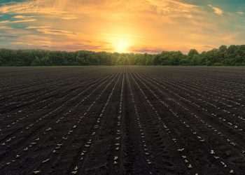 Puxada pelo RS, agroindústria registra queda 1,7% em maio