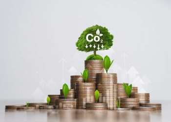 Empresários levam propostas a Lula para o G20 e defendem critério para comércio sustentável