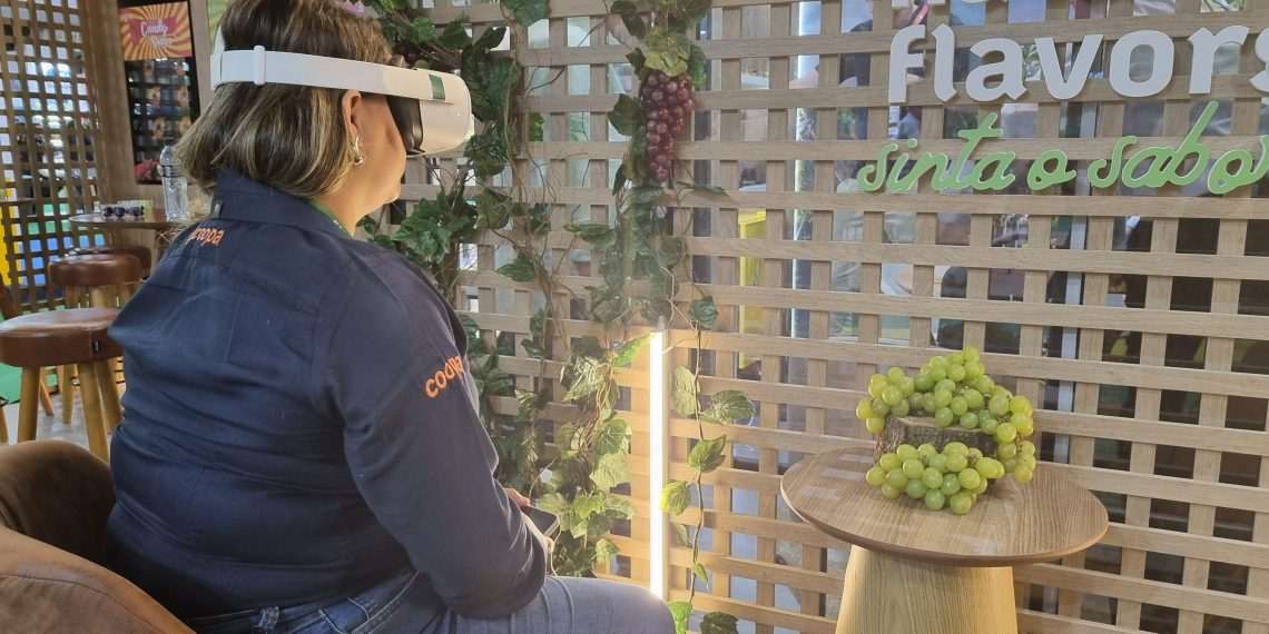 Produtores de hortifruti usam tecnologia para inovar a experiência do consumidor