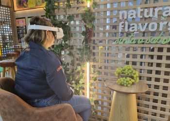 Produtores de hortifruti usam tecnologia para inovar a experiência do consumidor