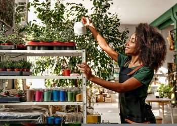 Desenrola Pequenos Negócios alcança R$ 3 bilhões de volume financeiro renegociado