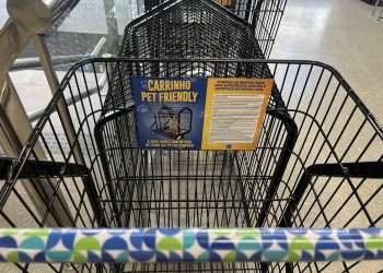 Prezunic adota o formato pet friendly em mais 13 lojas da capital fluminense