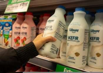 Danone faz oferta de US$ 283,4 milhões para adquirir Lifeway Foods, dos EUA