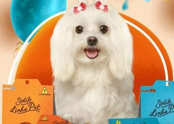 Sodiê Doces, franquia de bolos artesanais, inova e lança produtos para pets