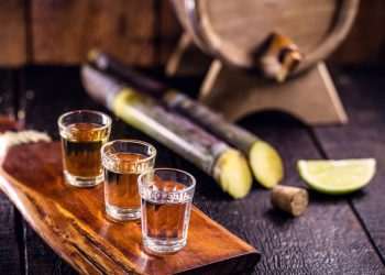 Dia Nacional da Cachaça: Brasil teve aumento de 7,8% no número de cachaçarias, com 1.217