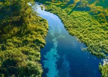 Amcham reúne R$ 38,8 bi em projetos de investimento sustentável no Brasil