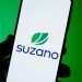 Suzano