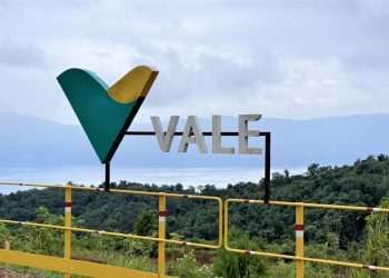Vale e Green Energy Park fecham parceria para desenvolver cadeia do hidrogênio verde no Brasil