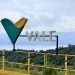 Vale e Green Energy Park fecham parceria para desenvolver cadeia do hidrogênio verde no Brasil