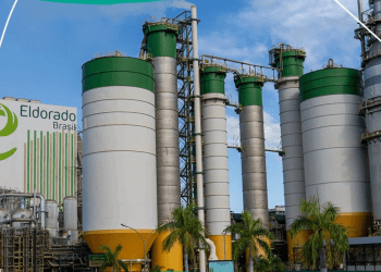 Cade homologa despacho e Eldorado tem 5 dias para recurso da Paper Excellence