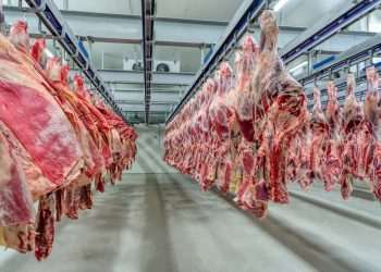 África do Sul habilita 19 novos frigoríficos do Brasil para exportação de carnes