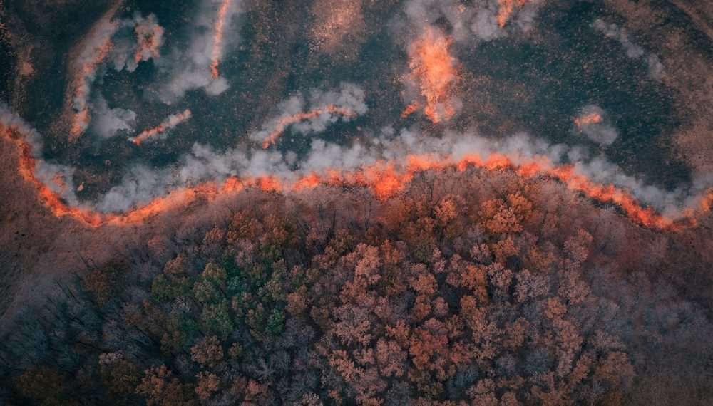 Queimadas ocorridas em setembro impactam varejo brasileiro em outubro