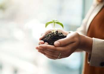 BNDES fica em 1º no ranking Idec de bancos responsáveis nas áreas social e ambiental