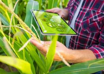 Agronegócio fica atrás na transformação digital, apesar de avanços em IA e IoT
