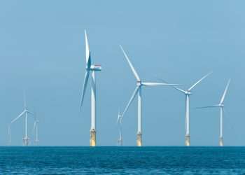 Consumidores pedem retirada de ‘jabutis’ de eólicas