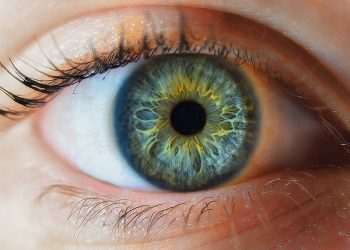 ANPD suspende coleta de íris em troca de criptomoedas por startup em SP