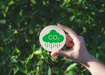 Natura amplia uso de biometano para reduzir emissões de carbono em 20%