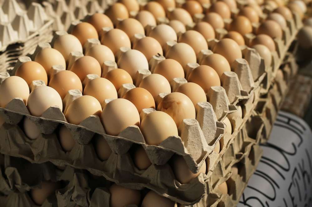 Governo volta atrás e revoga exigência de carimbo em ovos vendidos ao consumidor