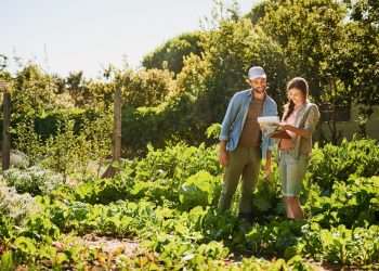 Haddad: 1º passo para conter inflação de alimentos é Plano Safra maior