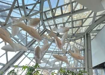 A era da imersão: arte, luxo. mecenato e a busca por propósito