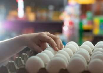 Falta de ovos nas gôndolas aumenta 1,9 p.p. de janeiro para fevereiro, aponta Neogrid