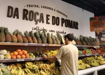 Hortifruti Natural da Terra lança aplicativo para unificar suas marcas
