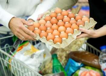 Preço do ovo tem alta de 26,7% na região Sudeste, aponta a Neogrid