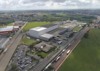 Grupo Selmi aposta no mercado de biscoitos e amplia produção em 43%