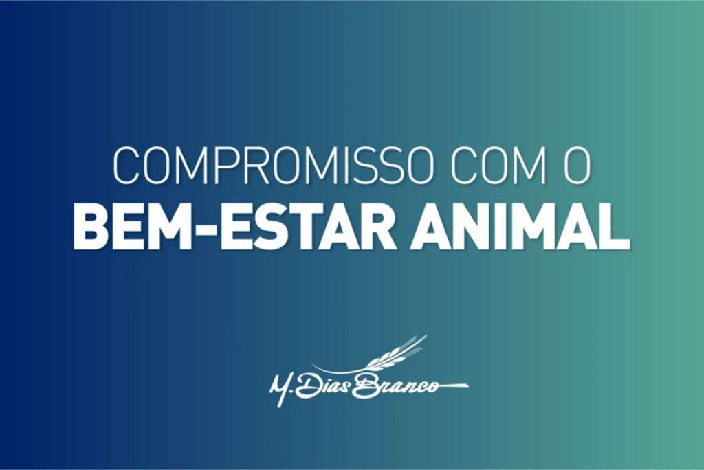 M. Dias Branco passa a utilizar apenas ovos de galinhas livres