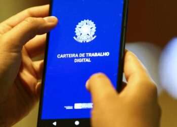 Entenda as diferenças entre trabalhador informal, MEI, autônomo e CLT