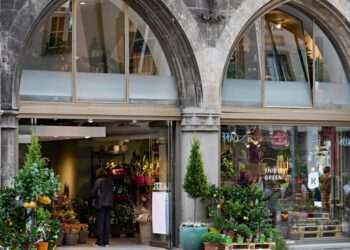 Urban Gardeners inova com tecnologia e personalização para os amantes da jardinagem