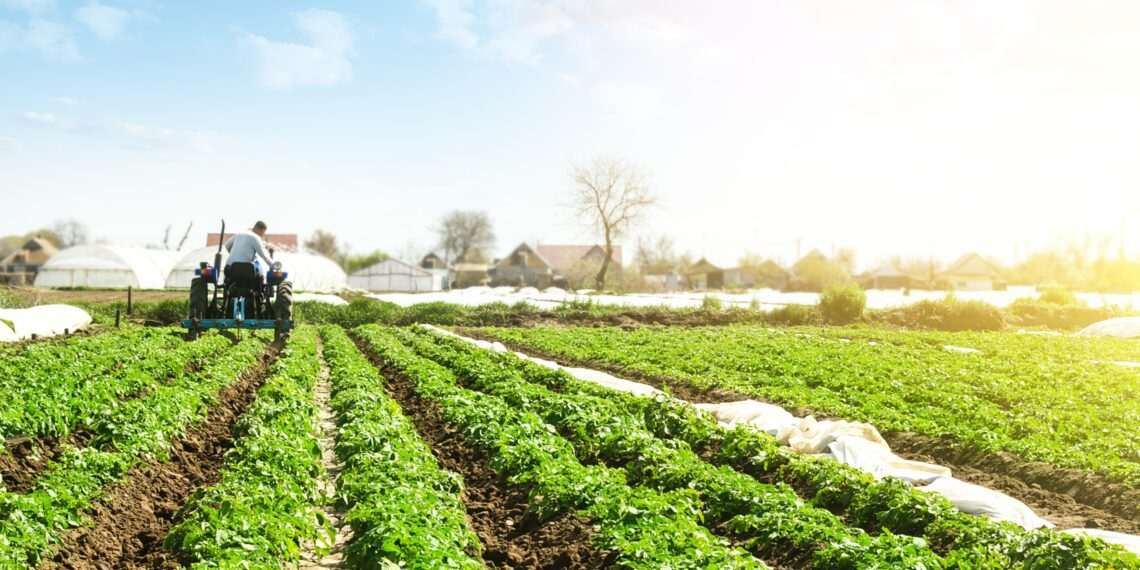 Puxado pela agropecuária, PIB cresce 1,4% no primeiro trimestre de 2025