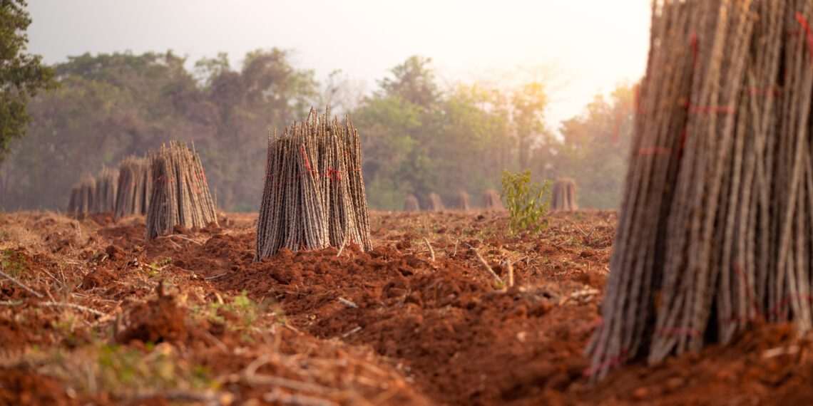 Itamaraty: governo vê com preocupação UE classificar Brasil como 'risco médio' de desmatamento
