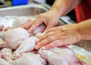 Gripe aviária: um alerta real para a inteligência do varejo