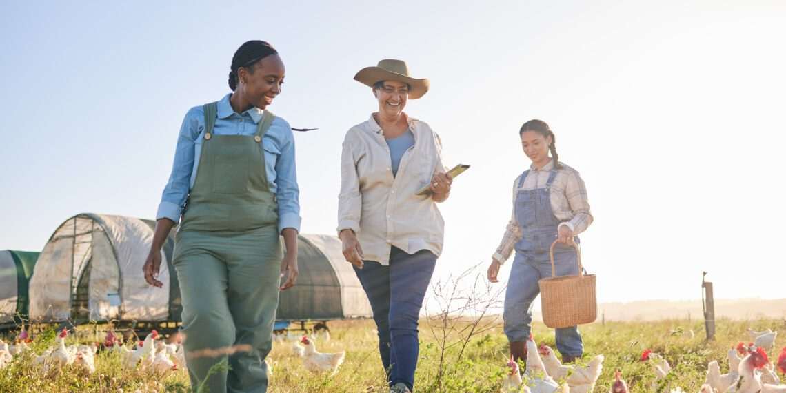 Santa Catarina proíbe entrada de aves vivas e ovos férteis oriundos de 12 municípios