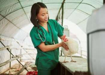 Gripe aviária: Exportação de produtos avícolas de todo o Brasil estão suspensas para 17 destinos