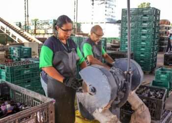 Transição climática se faz em rede: colaboração como motor da mudança
