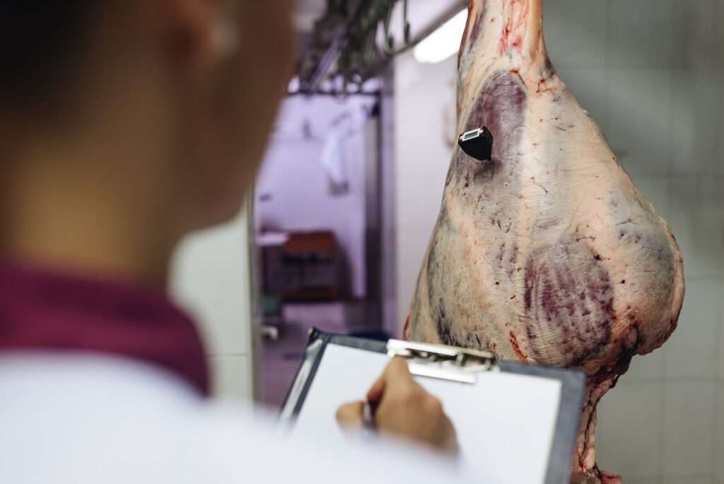 Minerva e Marfrig têm 100% de animais auditados em conformidade na Amazônia Legal