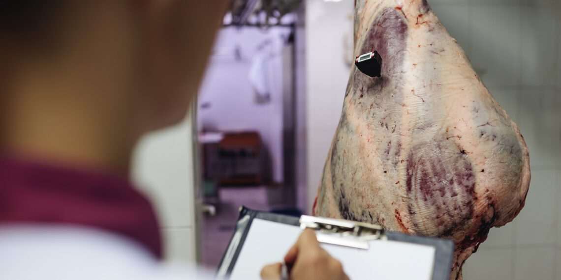 Minerva e Marfrig têm 100% de animais auditados em conformidade na Amazônia Legal