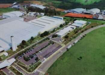 “Vamos crescer em torno de 50% em 2025”, diz CEO da Philips Walita