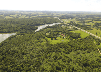 Grupo HEINEKEN coloca a agenda ESG no coração da estratégia de negócios