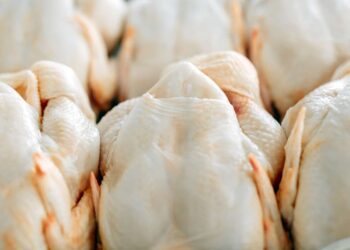 Exportação de carne frango em maio cai 12,9% ante maio de 2024, diz ABPA