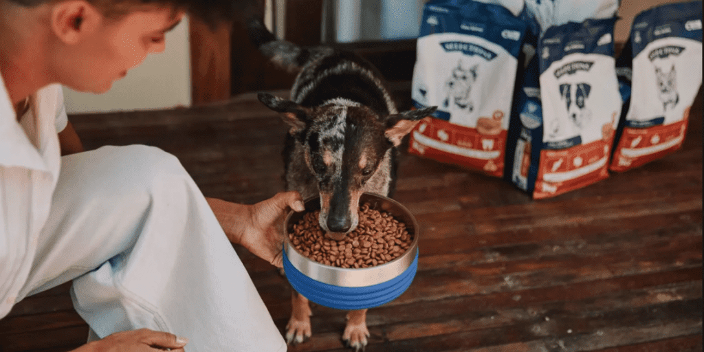 Como Pague Menos e Petz usam marcas próprias para melhorar a experiência de compra