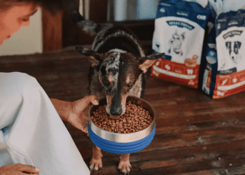 Como Pague Menos e Petz usam marcas próprias para melhorar a experiência de compra