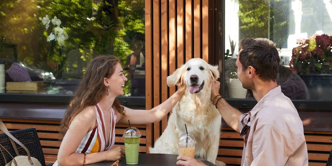 Grupo Heineken e Jet Pizzas lançam combo exclusivo para tutores e pets