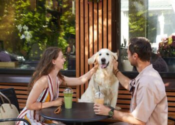 Grupo Heineken e Jet Pizzas lançam combo exclusivo para tutores e pets