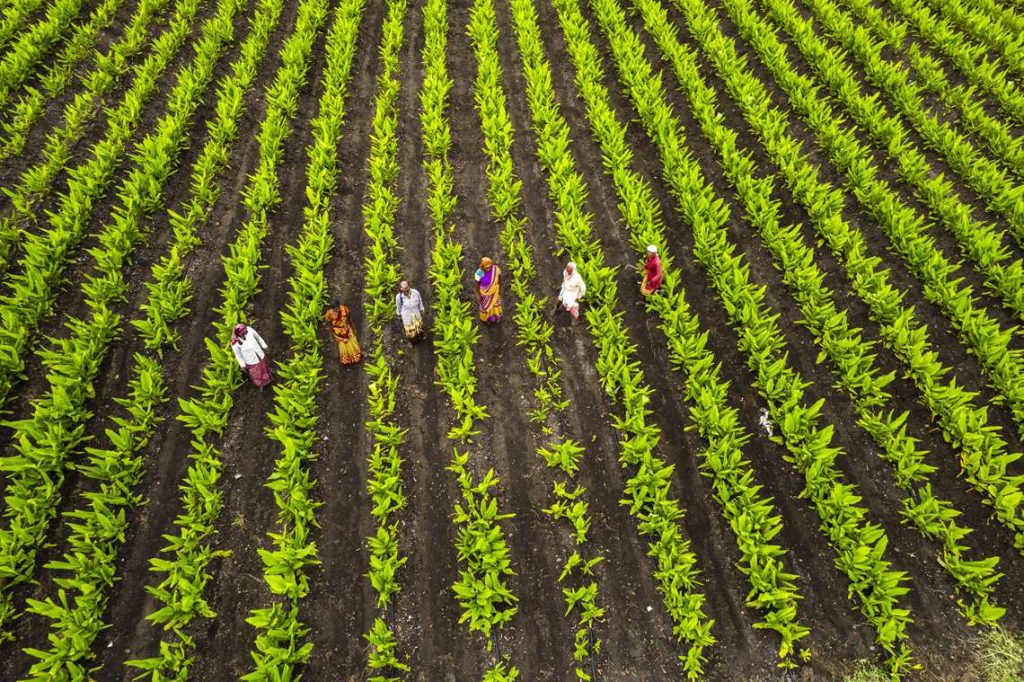 Produzimos mais em menos área se preservarmos o meio ambiente, afirma Lula